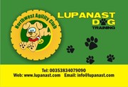 Lupanast Dog Training /North West Agility Centre