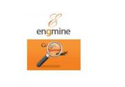 Promote online marketing with engmineseo
