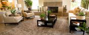 Aqua - Dry Provides the Carpet Cleaning Services in Dublin