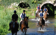 Have a Wonderful Horse Riding Holidays in Ireland Here 