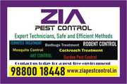 Pest control 