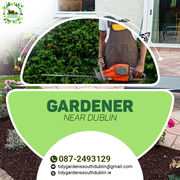 Need a Reliable gardener in Dublin? Meet Tidy garden