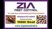 Cockroach Pest Control Upto 30% Discount | Bed Bugs Pest service | 9