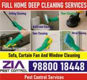 Complete Deep Cleaning – From Floors to Ceilings | 