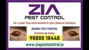 Service,  Other,  Marketing,  Pesticides,  Pest 
