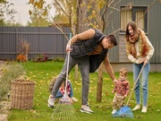 Trusted Garden Clearance Solutions in Dublin for Fast Waste Removal